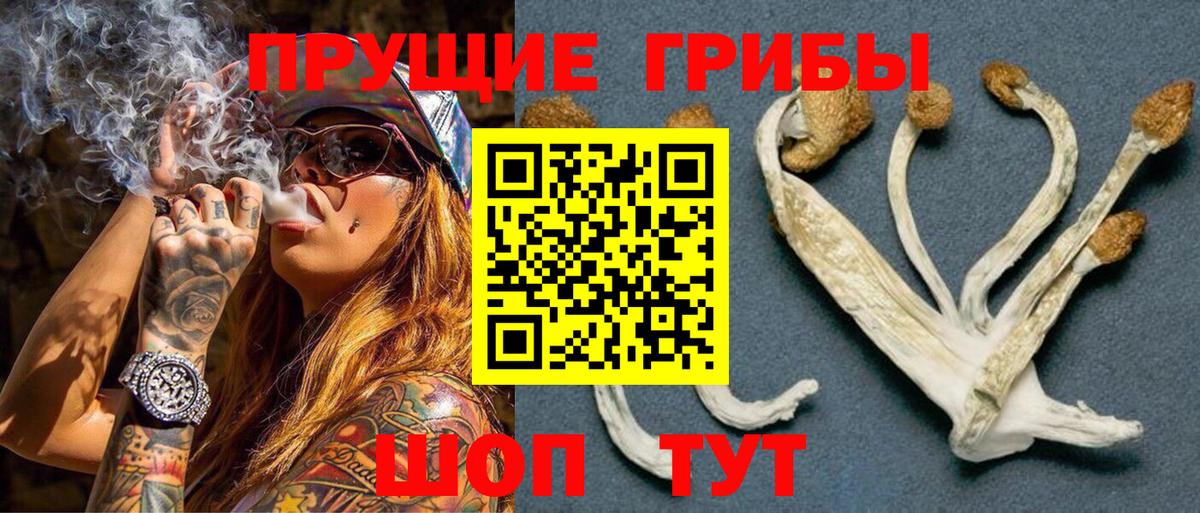Галлюциногенные грибы Cubensis  Псилоцибиновые грибы GOLDEN TEACHER  Вход с VPN  Балабаново 